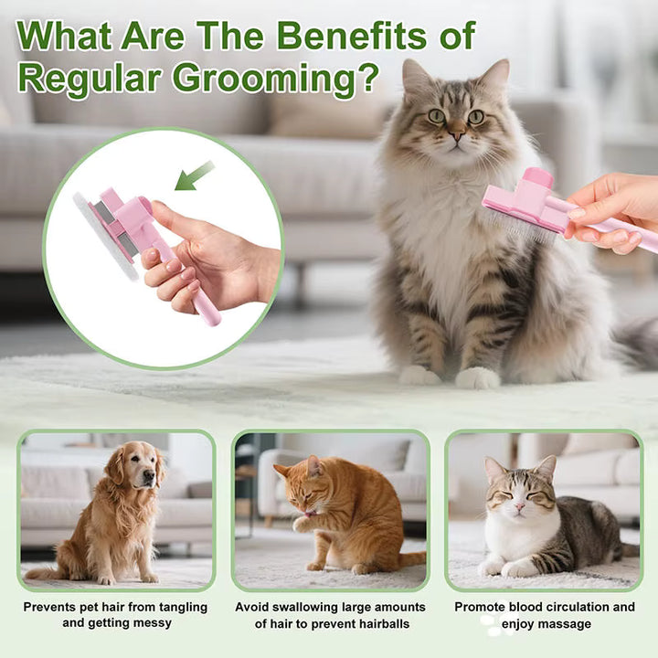 COATLY™ - PET BRUSH